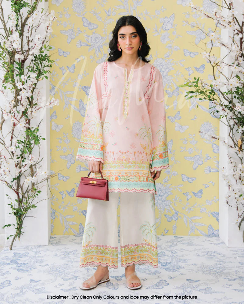 Summer Sorbet '25 - Coconut Sugar